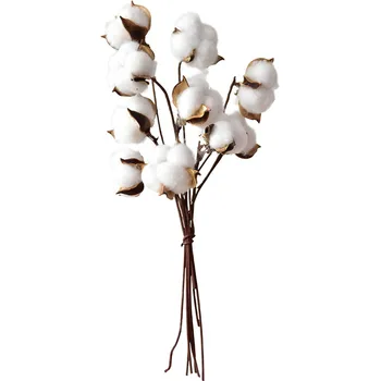 Bel 9 izhaja naravni suhi cvet bombaža veje umetnih bombaž veje Brezplačna Dostava