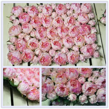 SPR poroko Peony cvet stenske dekoracije vroče fazi ozadje poroka tabela centerpiece dekorativni cvet za stranke ali doma